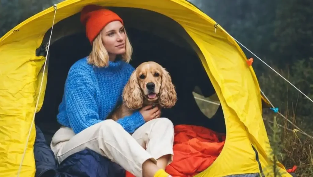 camping with dogs gear