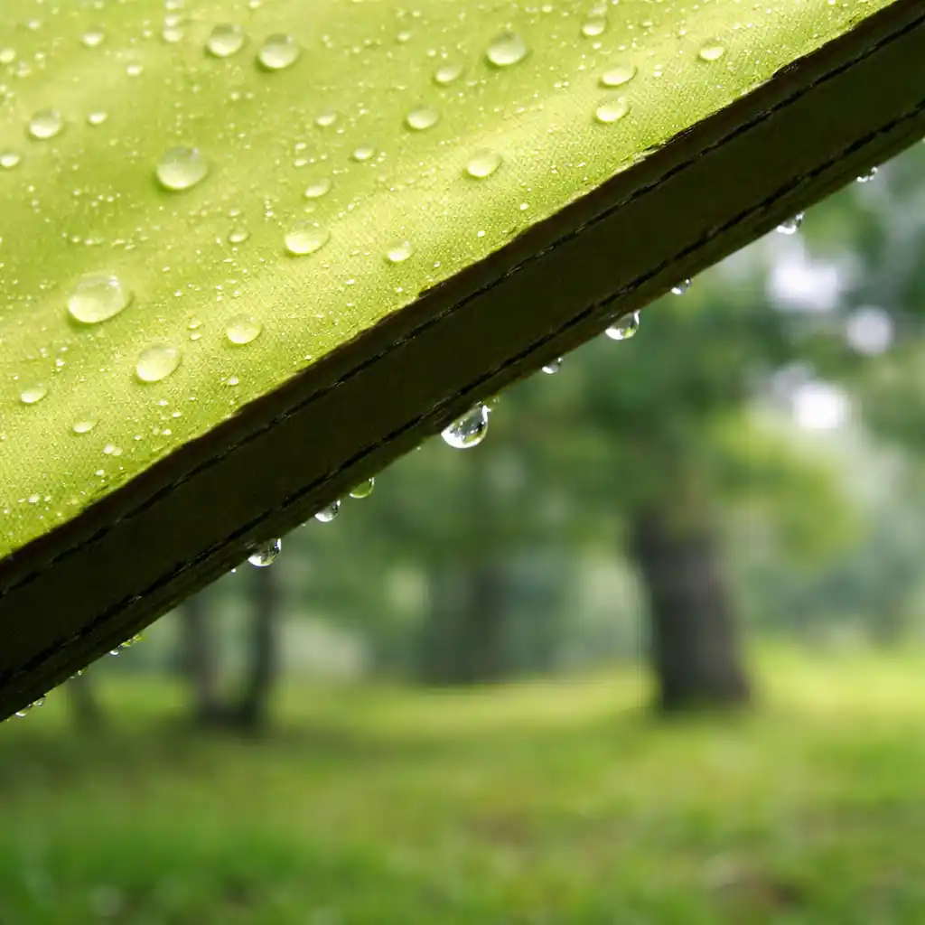 Condensation droplets on the bright lime-green fabric of a tent with a blurred green forest background.