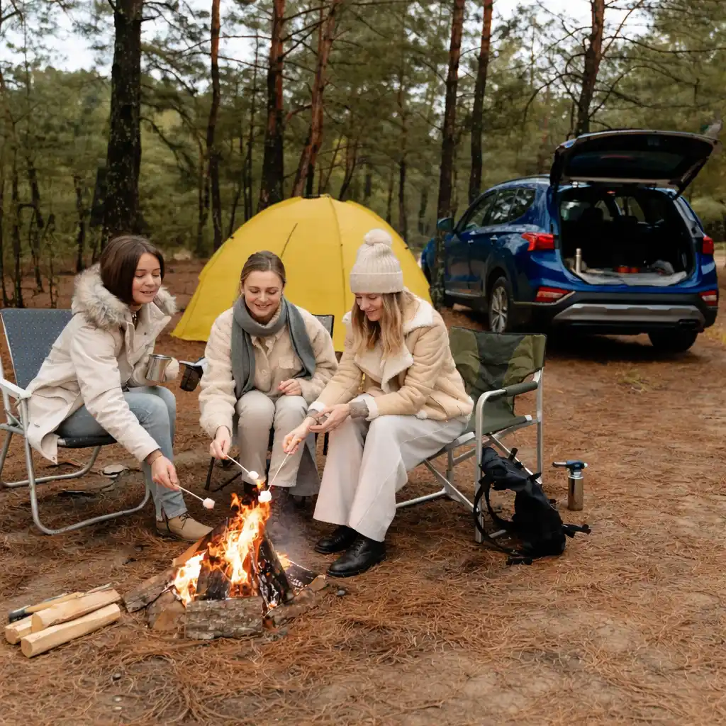 organized campsite with campfire car camping setup and people relaxing outdoors in comfortable layout